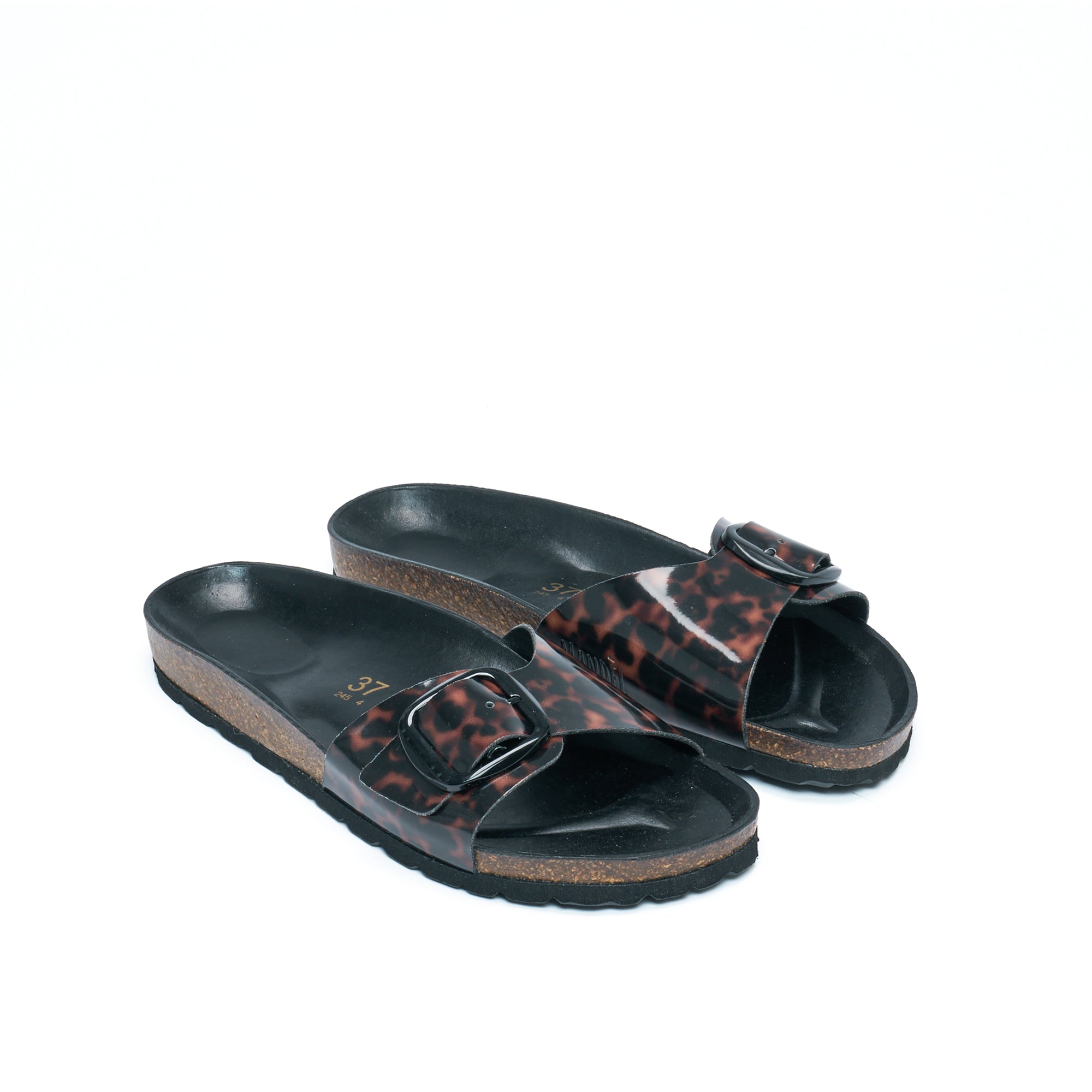 AGATA BIG BUCKLE TORTOISESHELL