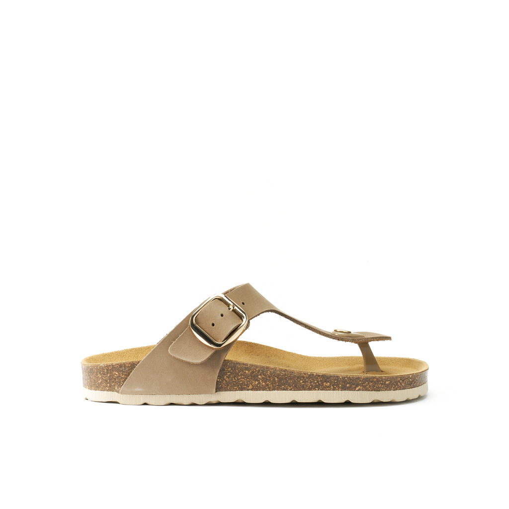BLANCA BIG BUCKLE NUBUCK TAUPE