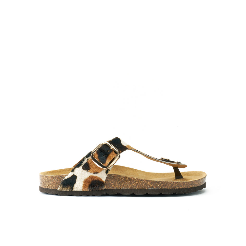 BLANCA BIG BUCKLE COW