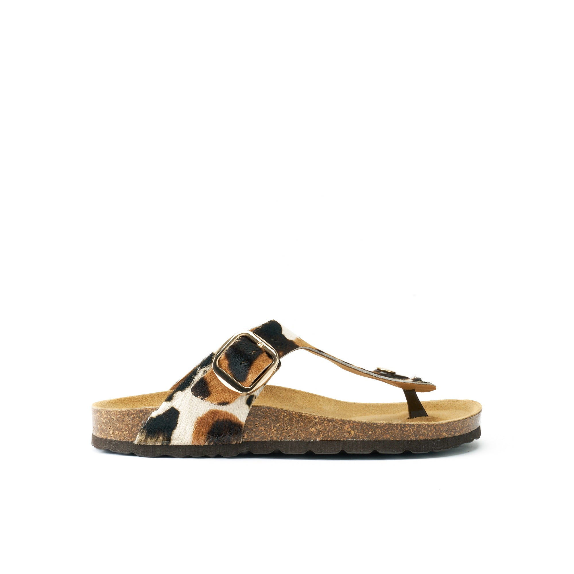 BLANCA BIG BUCKLE COW
