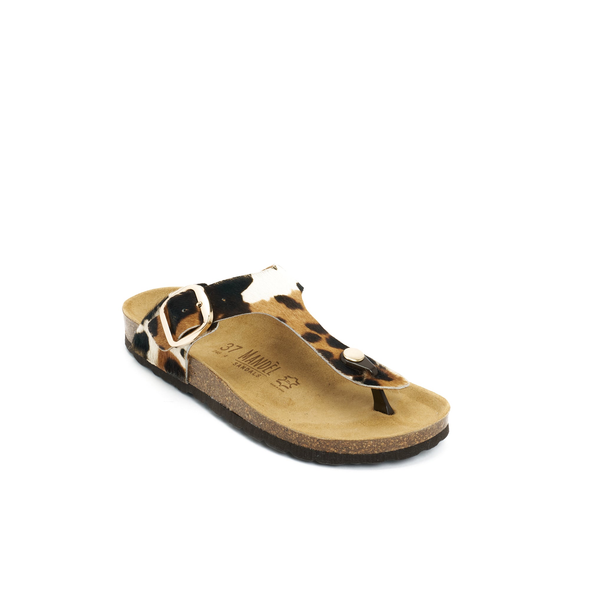 BLANCA BIG BUCKLE COW