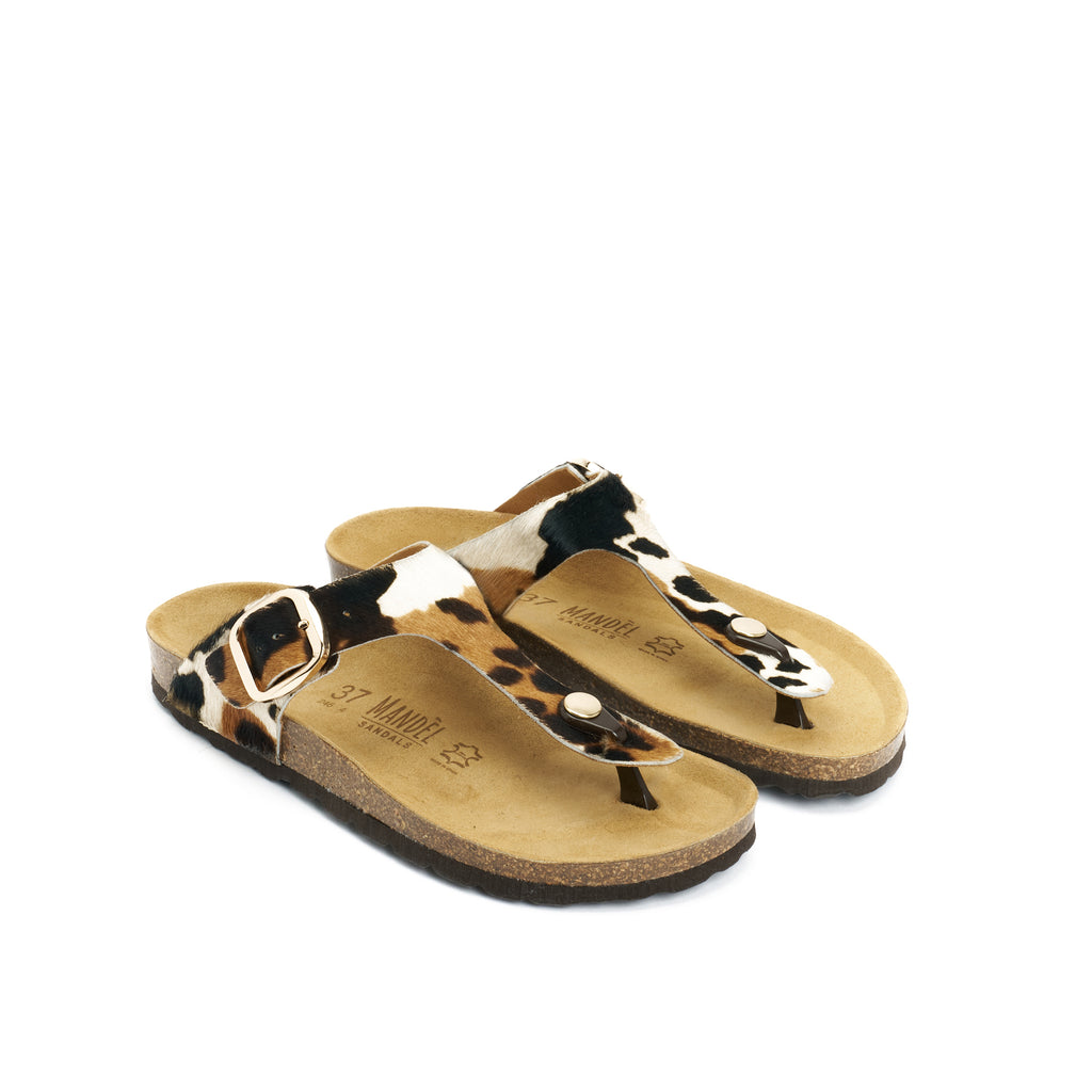 BLANCA BIG BUCKLE COW