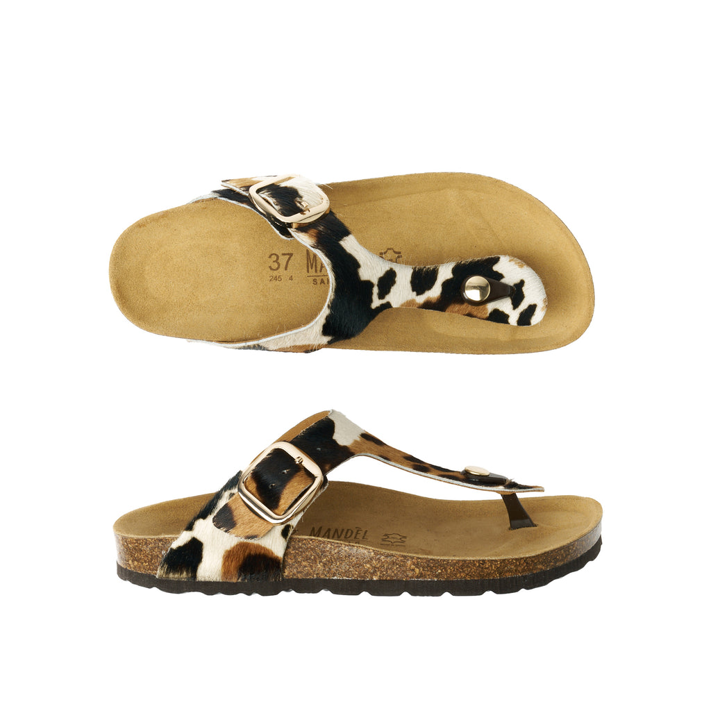 BLANCA BIG BUCKLE COW