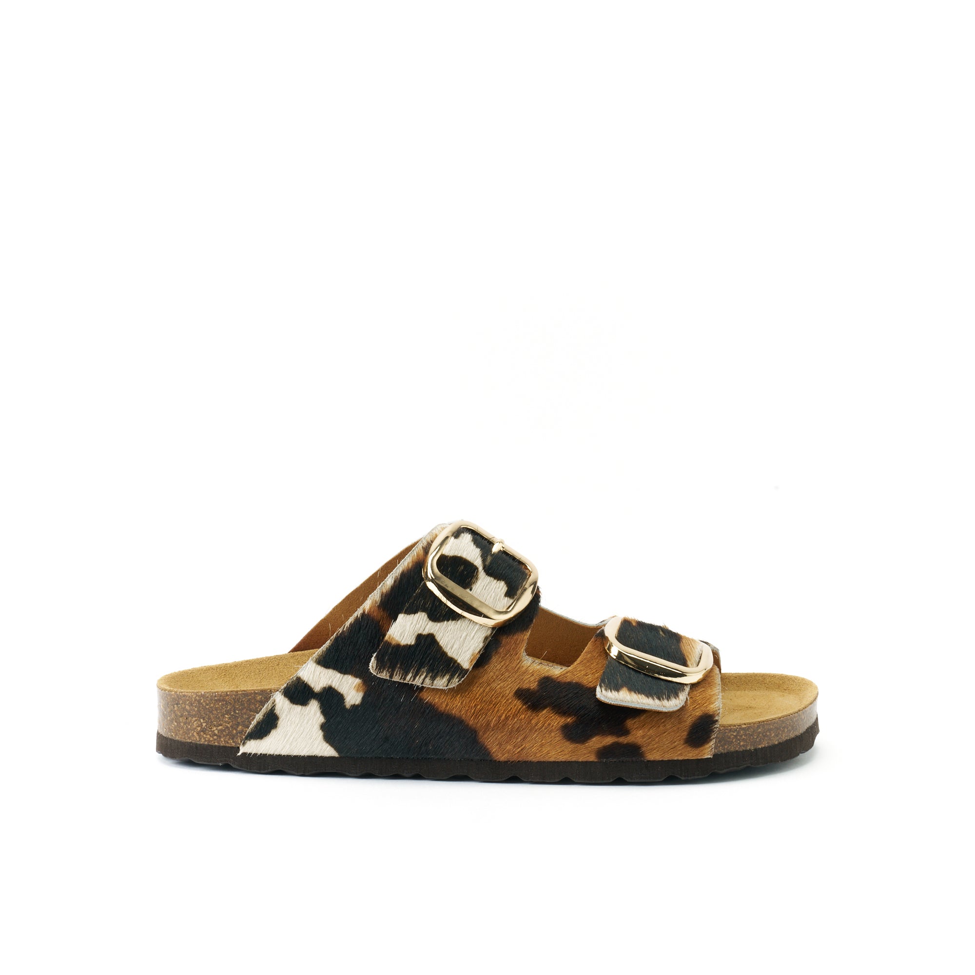 ALBERTO BIG BUCKLE COW