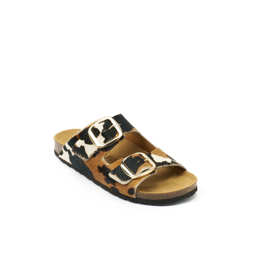 ALBERTO BIG BUCKLE COW