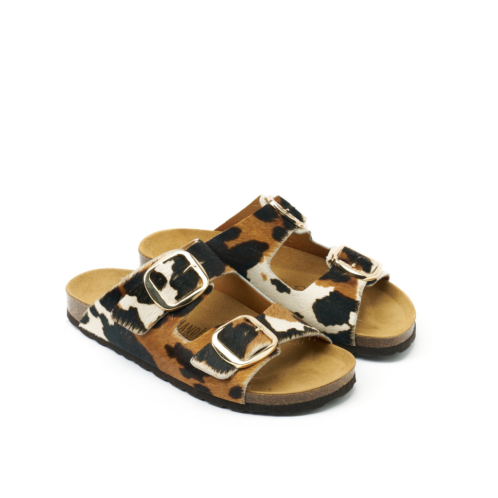 ALBERTO BIG BUCKLE COW