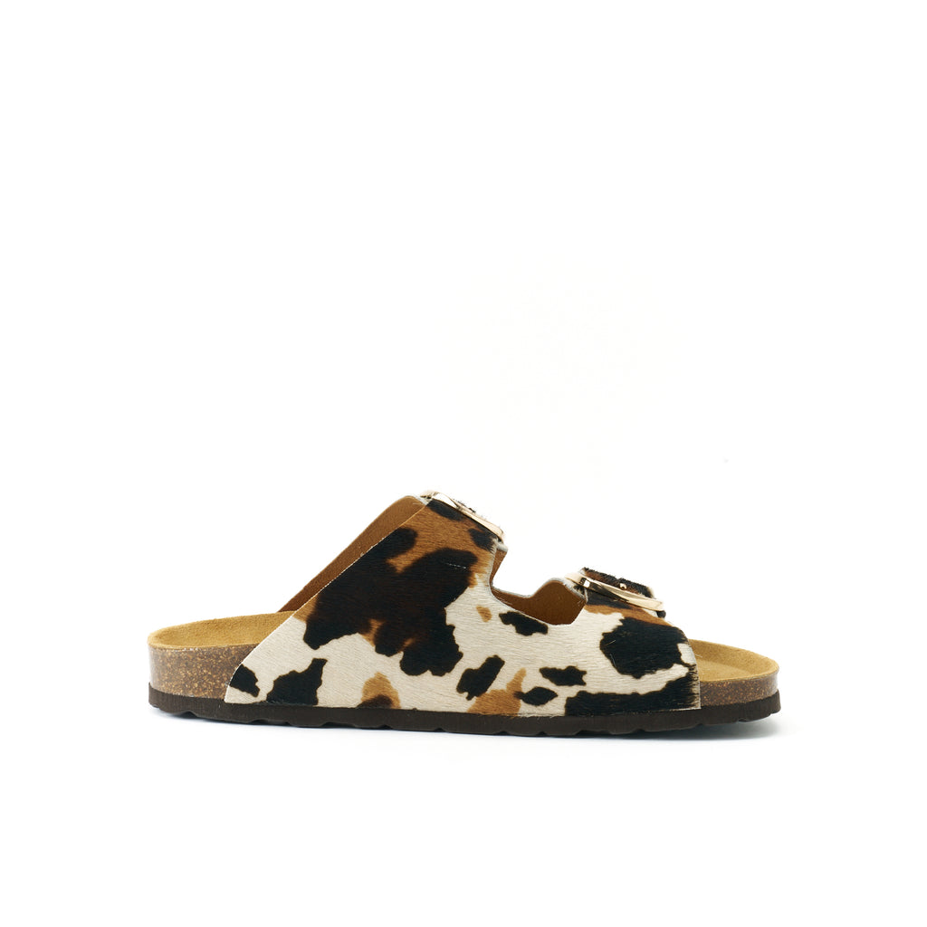 ALBERTO BIG BUCKLE COW