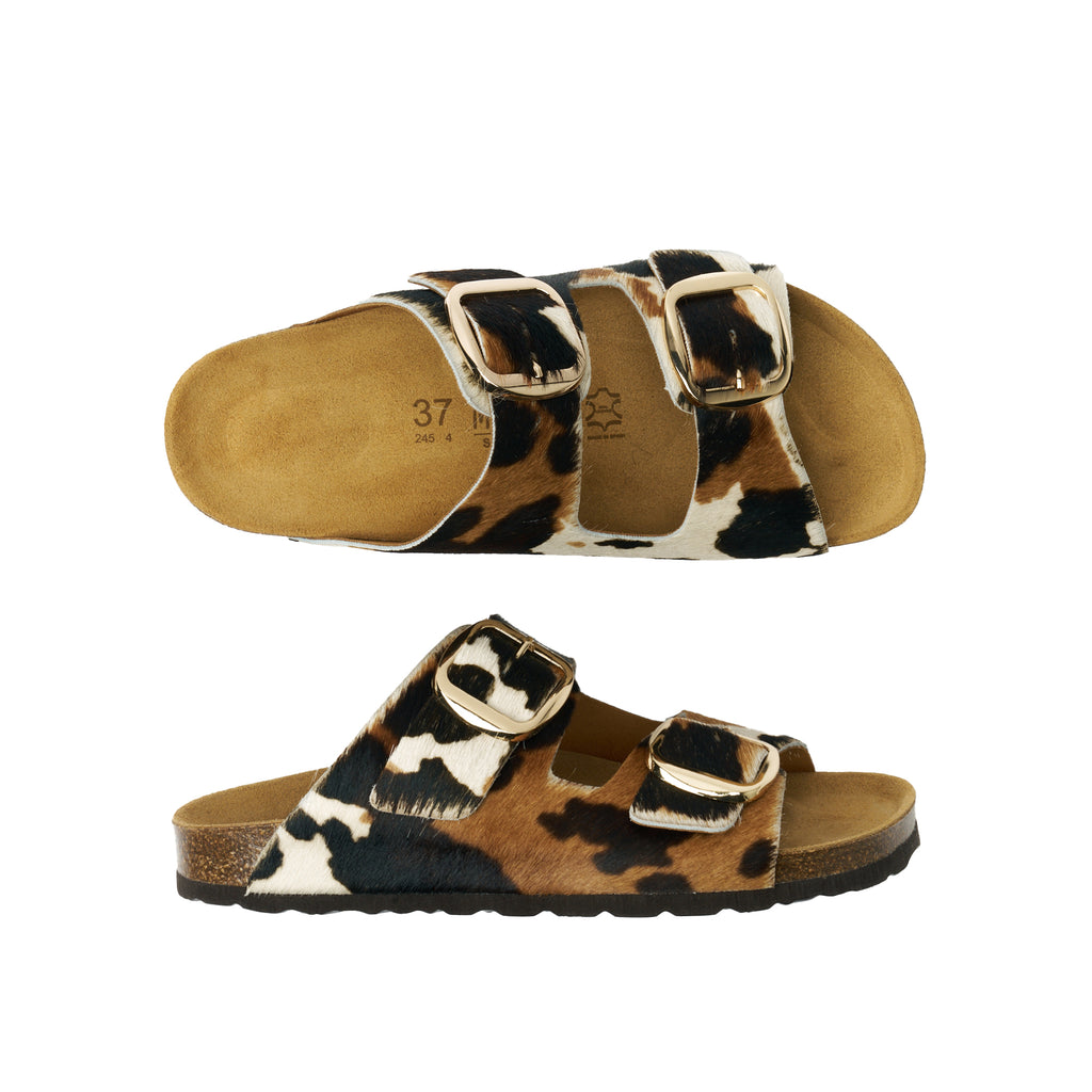 ALBERTO BIG BUCKLE COW